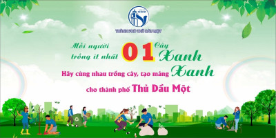 Trang trí cây xanh lớp học, trường học thân thiện,..