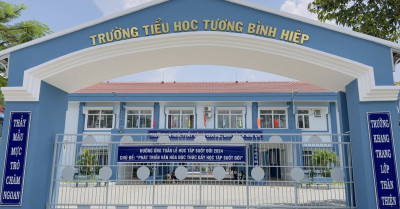 Trang trí cây xanh lớp học, trường học thân thiện,..